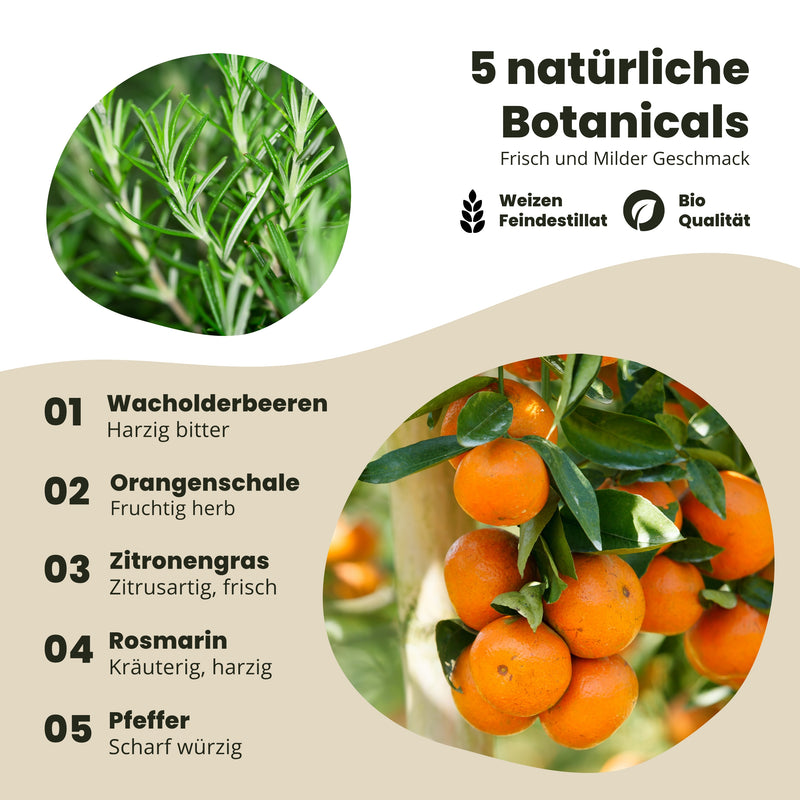 Gin 42 Mini Tapferkeitstropfen - Peter-und-Paul Fest Edition 40 % Vol. 0,5 L
