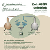 NoGin 42 - Alternative au gin sans alcool 0,5 l